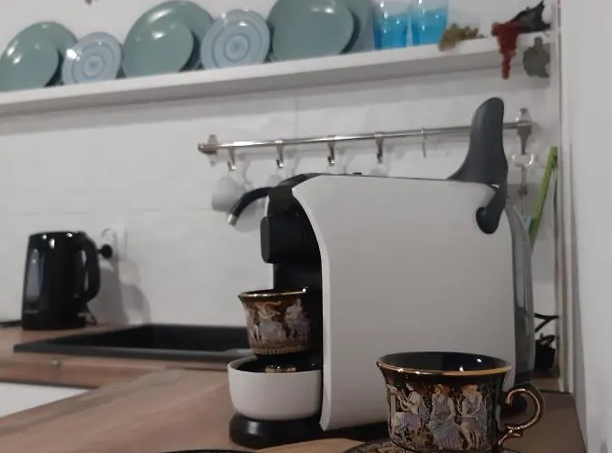 Capitals 奥斯威辛