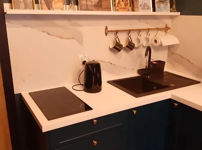 公寓 Capitals 奥斯威辛